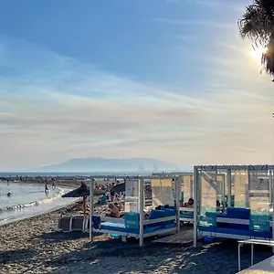 https://walking-to-the-beach-of-palo-and-pegregalejo.1costadelsol.com